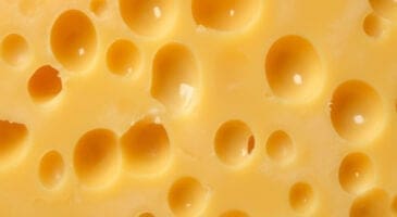 découvrez l'étrange alliance entre le fromage et les cauchemars ! plongez dans un univers où les délices lactés rencontrent les terrifiantes obscurités nocturnes. une exploration fascinante des mythes et réalités derrière l'impact des fromages sur nos rêves.