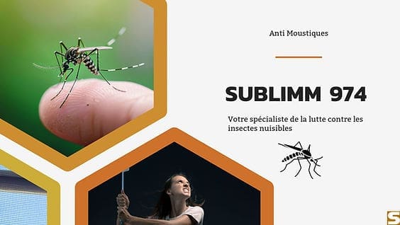 découvrez nos astuces efficaces pour réduire le bruit des moustiques et profiter d'un sommeil paisible. adoptez ces conseils pratiques et faites de vos nuits un moment de détente, loin des nuisances sonores. profitez pleinement de votre été sans les désagréments des moustiques !