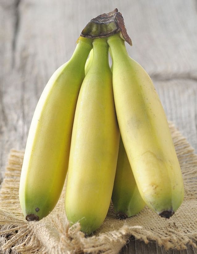 découvrez les bienfaits du potassium grâce à notre dégustation de bananes : saveurs, conseils et avantages santé réunis pour une expérience gourmande et équilibrée.