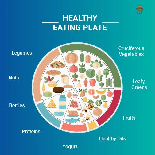 découvrez eat to eat : votre guide gourmand pour savourer de délicieux repas, explorer de nouvelles saveurs et adopter une alimentation équilibrée au quotidien.