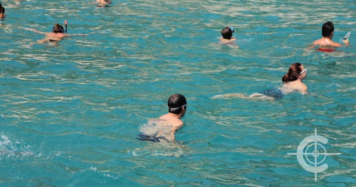 découvrez nos conseils sur les meilleures options de nourriture à privilégier avant une baignade. évitez les malaises et profitez d'une journée à la plage en toute sérénité grâce à des choix sains et délicieux.
