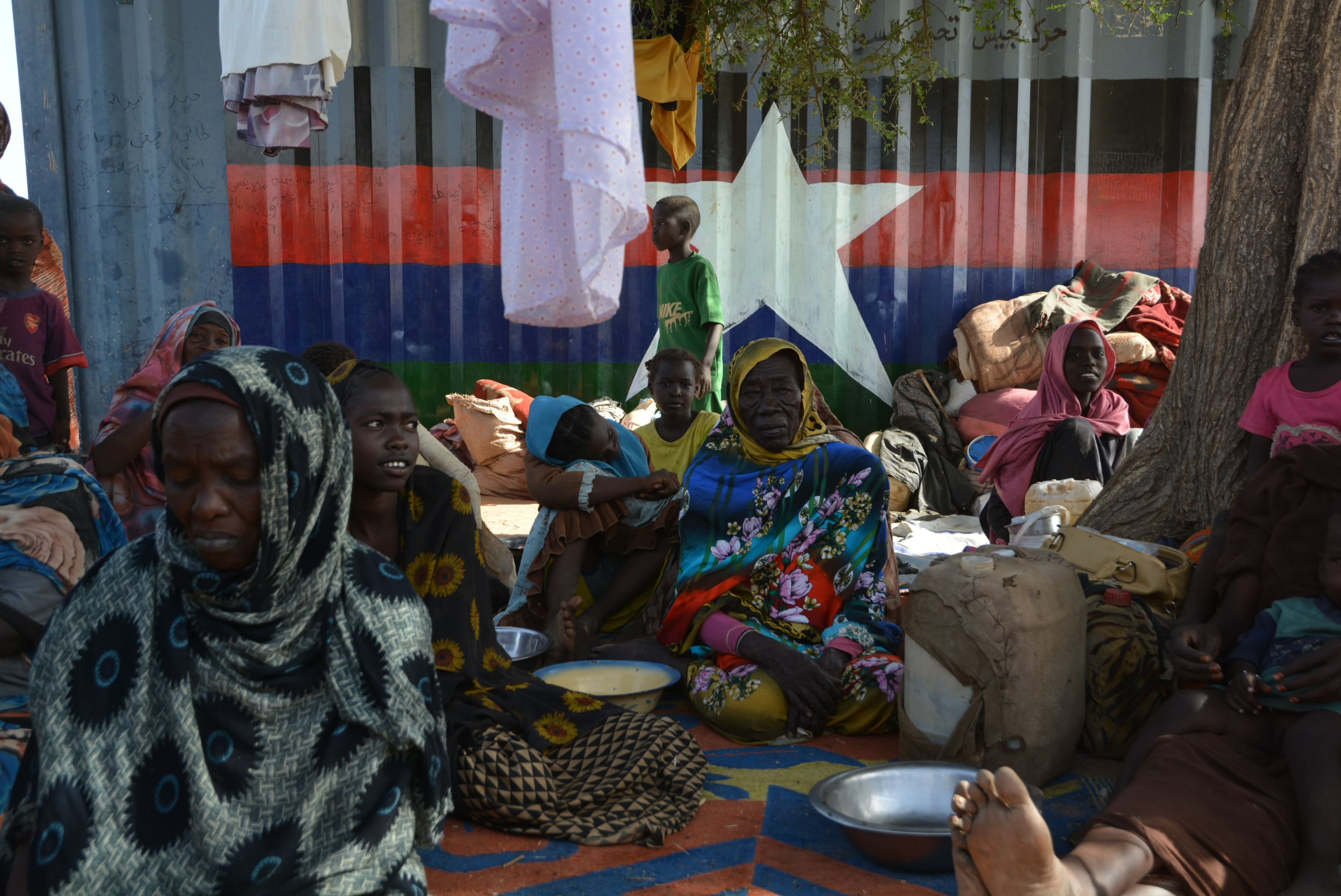 découvrez l'impact de la famine à el-fasher au soudan sur la population animale, les causes de la crise alimentaire et les conséquences pour les écosystèmes locaux.