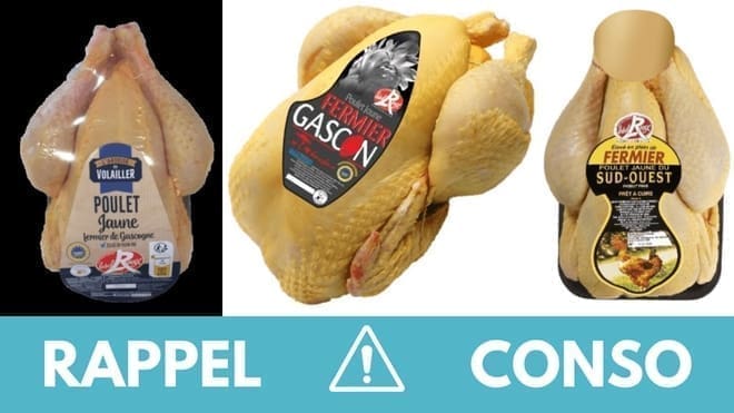 découvrez les dernières informations sur le rappel de produits de poulet congelé, les lots concernés, les risques potentiels et les consignes à suivre pour votre sécurité alimentaire.