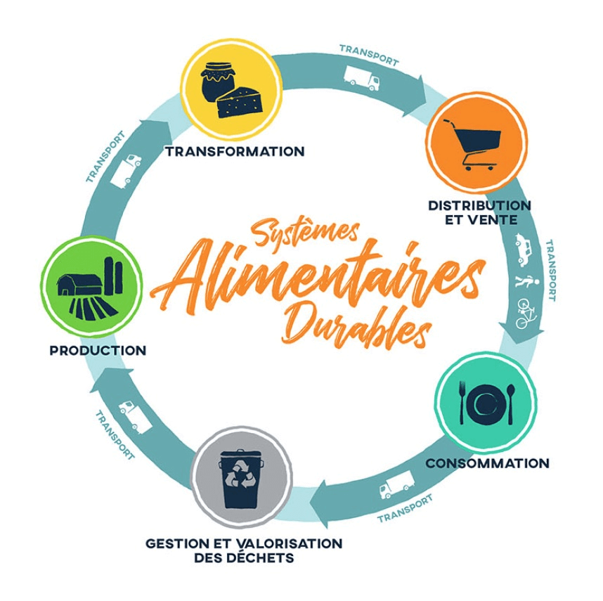 découvrez les enjeux et solutions pour réformer notre système alimentaire afin d'assurer une alimentation saine, durable et accessible à tous.