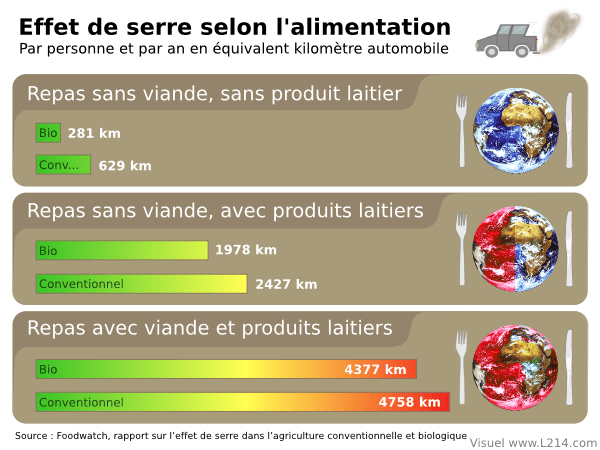 découvrez comment réduire votre consommation de viande peut bénéficier à la fois à votre santé et à la protection de la planète grâce à des conseils simples et efficaces.