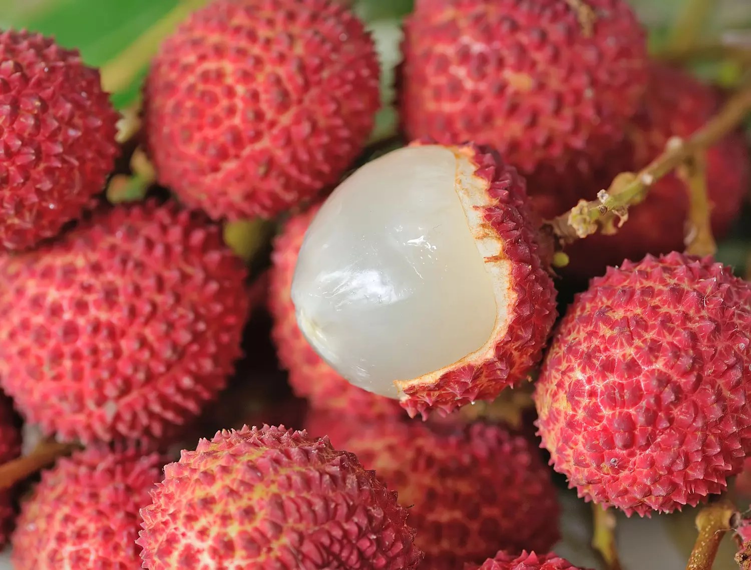 Grappe de litchis frais à la coque rouge et chair blanche translucide