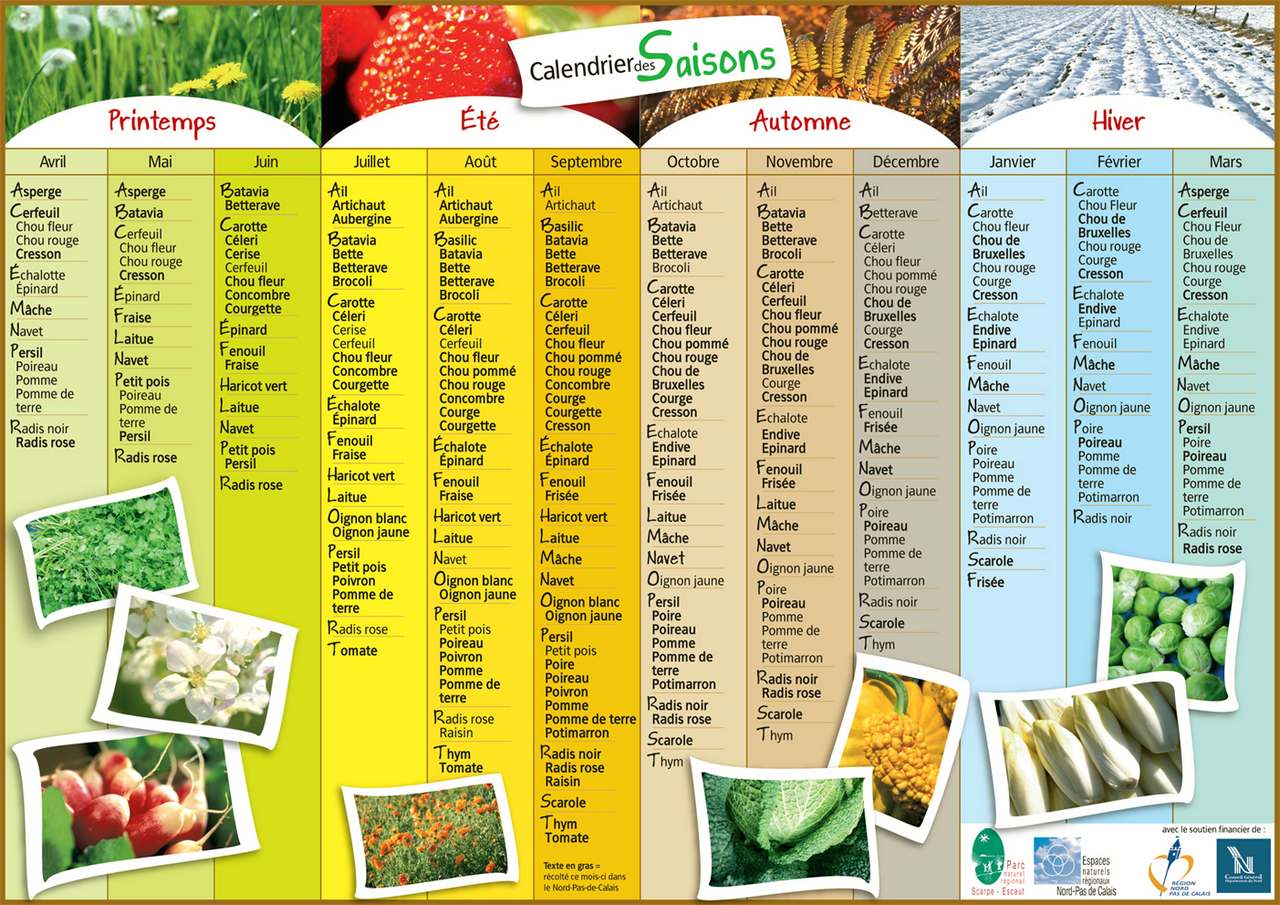 Panier de légumes de saison variés posé sur un étal de marché